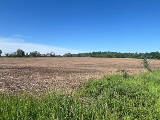 Property photo 5 - LAND AUCTION - 81.55+/-ACRES OFFERED IN 2 TRACTS IN NOBLE COUNTY, INDIANA