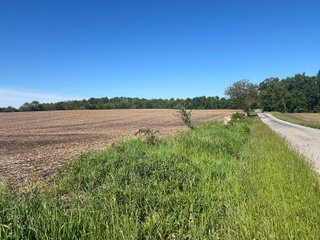 Property photo 6 - LAND AUCTION - 81.55+/-ACRES OFFERED IN 2 TRACTS IN NOBLE COUNTY, INDIANA