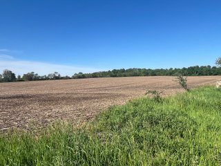Property photo 7 - LAND AUCTION - 81.55+/-ACRES OFFERED IN 2 TRACTS IN NOBLE COUNTY, INDIANA