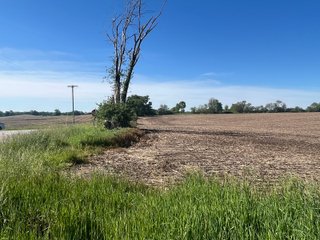 Property photo 8 - LAND AUCTION - 81.55+/-ACRES OFFERED IN 2 TRACTS IN NOBLE COUNTY, INDIANA