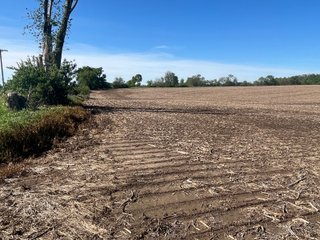 Property photo 9 - LAND AUCTION - 81.55+/-ACRES OFFERED IN 2 TRACTS IN NOBLE COUNTY, INDIANA