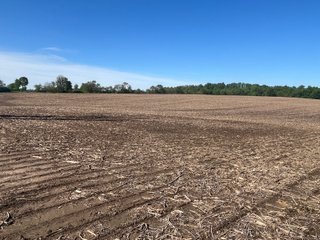 Property photo 1 - LAND AUCTION - 81.55+/-ACRES OFFERED IN 2 TRACTS IN NOBLE COUNTY, INDIANA