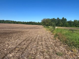 Property photo 10 - LAND AUCTION - 81.55+/-ACRES OFFERED IN 2 TRACTS IN NOBLE COUNTY, INDIANA