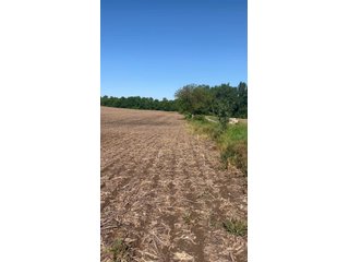 Property photo 11 - LAND AUCTION - 81.55+/-ACRES OFFERED IN 2 TRACTS IN NOBLE COUNTY, INDIANA