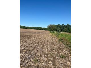Property photo 12 - LAND AUCTION - 81.55+/-ACRES OFFERED IN 2 TRACTS IN NOBLE COUNTY, INDIANA