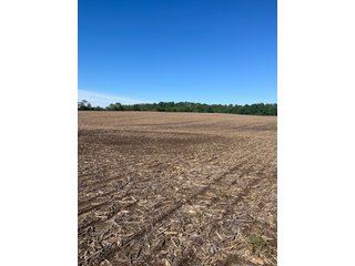 Property photo 13 - LAND AUCTION - 81.55+/-ACRES OFFERED IN 2 TRACTS IN NOBLE COUNTY, INDIANA