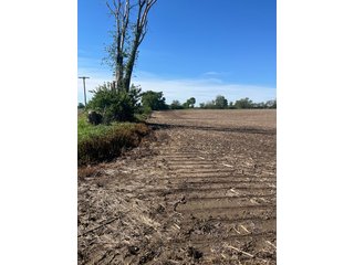 Property photo 14 - LAND AUCTION - 81.55+/-ACRES OFFERED IN 2 TRACTS IN NOBLE COUNTY, INDIANA