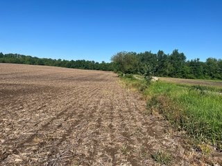 Property photo 15 - LAND AUCTION - 81.55+/-ACRES OFFERED IN 2 TRACTS IN NOBLE COUNTY, INDIANA
