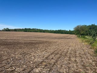 Property photo 16 - LAND AUCTION - 81.55+/-ACRES OFFERED IN 2 TRACTS IN NOBLE COUNTY, INDIANA