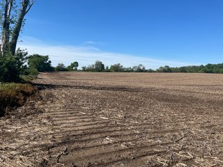Property photo 17 - LAND AUCTION - 81.55+/-ACRES OFFERED IN 2 TRACTS IN NOBLE COUNTY, INDIANA