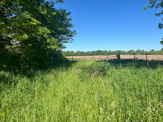 Property photo 18 - LAND AUCTION - 81.55+/-ACRES OFFERED IN 2 TRACTS IN NOBLE COUNTY, INDIANA