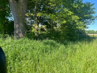 Property photo 28 - LAND AUCTION - 81.55+/-ACRES OFFERED IN 2 TRACTS IN NOBLE COUNTY, INDIANA