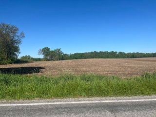 Property photo 19 - LAND AUCTION - 81.55+/-ACRES OFFERED IN 2 TRACTS IN NOBLE COUNTY, INDIANA