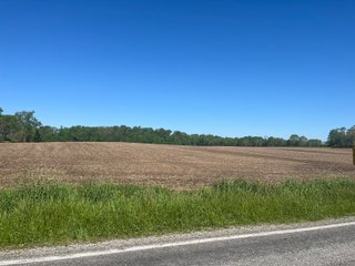 Property photo 20 - LAND AUCTION - 81.55+/-ACRES OFFERED IN 2 TRACTS IN NOBLE COUNTY, INDIANA