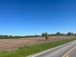 Property photo 21 - LAND AUCTION - 81.55+/-ACRES OFFERED IN 2 TRACTS IN NOBLE COUNTY, INDIANA