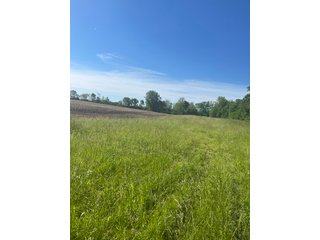 Property photo 23 - LAND AUCTION - 81.55+/-ACRES OFFERED IN 2 TRACTS IN NOBLE COUNTY, INDIANA