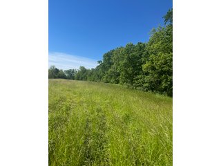 Property photo 25 - LAND AUCTION - 81.55+/-ACRES OFFERED IN 2 TRACTS IN NOBLE COUNTY, INDIANA