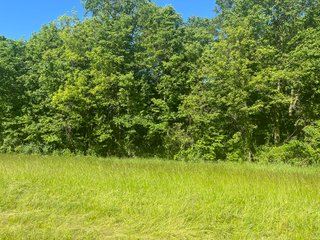 Property photo 26 - LAND AUCTION - 81.55+/-ACRES OFFERED IN 2 TRACTS IN NOBLE COUNTY, INDIANA