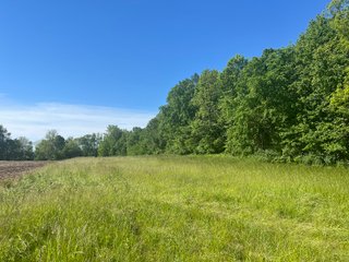 Property photo 27 - LAND AUCTION - 81.55+/-ACRES OFFERED IN 2 TRACTS IN NOBLE COUNTY, INDIANA