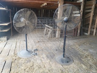 Property photo 37 - FARM EQUIPMENT AUCTION IN NOBLE COUNTY, INDIANA