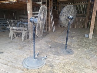 Property photo 38 - FARM EQUIPMENT AUCTION IN NOBLE COUNTY, INDIANA