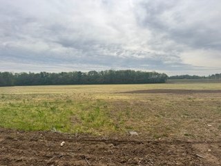 Property photo 24 - LAND AUCTION - 181.84+/-ACRES OFFERED IN 9 TRACTS IN RUSH COUNTY, INDIANA
