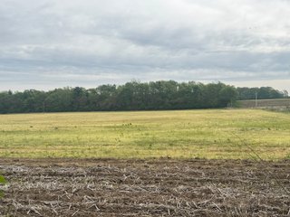 Property photo 22 - LAND AUCTION - 181.84+/-ACRES OFFERED IN 9 TRACTS IN RUSH COUNTY, INDIANA