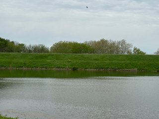 Property photo 19 - LAND AUCTION - 181.84+/-ACRES OFFERED IN 9 TRACTS IN RUSH COUNTY, INDIANA