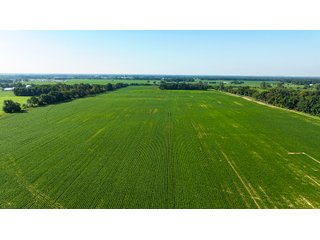Property photo 1 - FARMLAND AUCTION - 190+/-ACRES OFFERED IN 2 TRACTS IN ST JOSEPH COUNTY, MICHIGAN