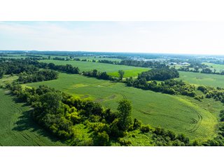 Property photo 21 - FARMLAND AUCTION - 190+/-ACRES OFFERED IN 2 TRACTS IN ST JOSEPH COUNTY, MICHIGAN