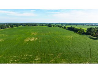 Property photo 3 - FARMLAND AUCTION - 190+/-ACRES OFFERED IN 2 TRACTS IN ST JOSEPH COUNTY, MICHIGAN