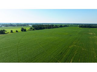 Property photo 5 - FARMLAND AUCTION - 190+/-ACRES OFFERED IN 2 TRACTS IN ST JOSEPH COUNTY, MICHIGAN