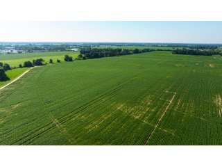 Property photo 6 - FARMLAND AUCTION - 190+/-ACRES OFFERED IN 2 TRACTS IN ST JOSEPH COUNTY, MICHIGAN