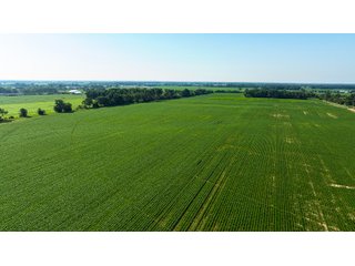 Property photo 7 - FARMLAND AUCTION - 190+/-ACRES OFFERED IN 2 TRACTS IN ST JOSEPH COUNTY, MICHIGAN