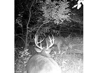 Property photo 35 - FARMLAND AUCTION - 190+/-ACRES OFFERED IN 2 TRACTS IN ST JOSEPH COUNTY, MICHIGAN