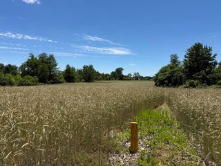 Property photo 24 - FARMLAND AUCTION - 190+/-ACRES OFFERED IN 2 TRACTS IN ST JOSEPH COUNTY, MICHIGAN