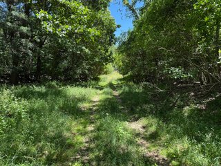 Property photo 25 - FARMLAND AUCTION - 190+/-ACRES OFFERED IN 2 TRACTS IN ST JOSEPH COUNTY, MICHIGAN