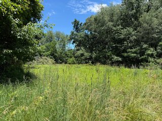 Property photo 26 - FARMLAND AUCTION - 190+/-ACRES OFFERED IN 2 TRACTS IN ST JOSEPH COUNTY, MICHIGAN