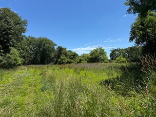 Property photo 27 - FARMLAND AUCTION - 190+/-ACRES OFFERED IN 2 TRACTS IN ST JOSEPH COUNTY, MICHIGAN