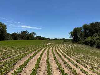 Property photo 30 - FARMLAND AUCTION - 190+/-ACRES OFFERED IN 2 TRACTS IN ST JOSEPH COUNTY, MICHIGAN