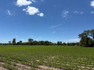 Property photo 31 - FARMLAND AUCTION - 190+/-ACRES OFFERED IN 2 TRACTS IN ST JOSEPH COUNTY, MICHIGAN