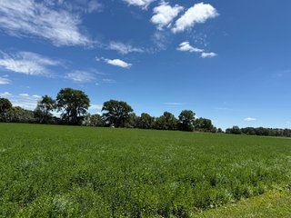 Property photo 10 - FARMLAND AUCTION - 190+/-ACRES OFFERED IN 2 TRACTS IN ST JOSEPH COUNTY, MICHIGAN