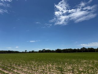 Property photo 12 - FARMLAND AUCTION - 190+/-ACRES OFFERED IN 2 TRACTS IN ST JOSEPH COUNTY, MICHIGAN