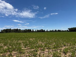 Property photo 13 - FARMLAND AUCTION - 190+/-ACRES OFFERED IN 2 TRACTS IN ST JOSEPH COUNTY, MICHIGAN