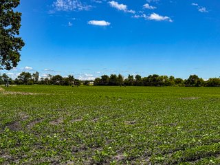 Property photo 14 - FARMLAND AUCTION - 190+/-ACRES OFFERED IN 2 TRACTS IN ST JOSEPH COUNTY, MICHIGAN