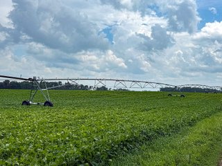 Property photo 15 - FARMLAND AUCTION - 190+/-ACRES OFFERED IN 2 TRACTS IN ST JOSEPH COUNTY, MICHIGAN