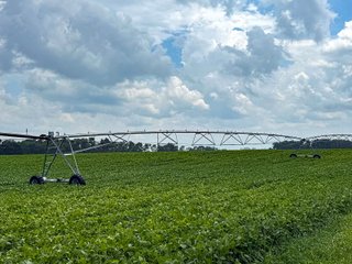 Property photo 16 - FARMLAND AUCTION - 190+/-ACRES OFFERED IN 2 TRACTS IN ST JOSEPH COUNTY, MICHIGAN
