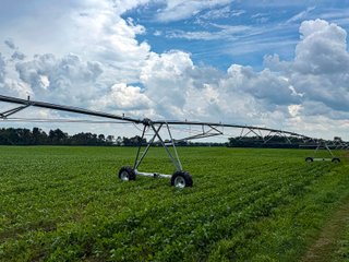 Property photo 17 - FARMLAND AUCTION - 190+/-ACRES OFFERED IN 2 TRACTS IN ST JOSEPH COUNTY, MICHIGAN