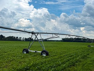 Property photo 18 - FARMLAND AUCTION - 190+/-ACRES OFFERED IN 2 TRACTS IN ST JOSEPH COUNTY, MICHIGAN