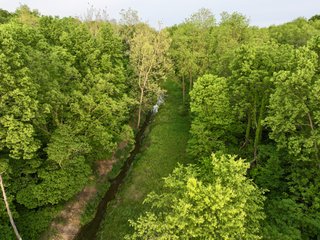 Property photo 15 - LAND AUCTION - 36+/-ACRES OFFERED IN 2 TRACTS IN WHITLEY COUNTY, INDIANA
